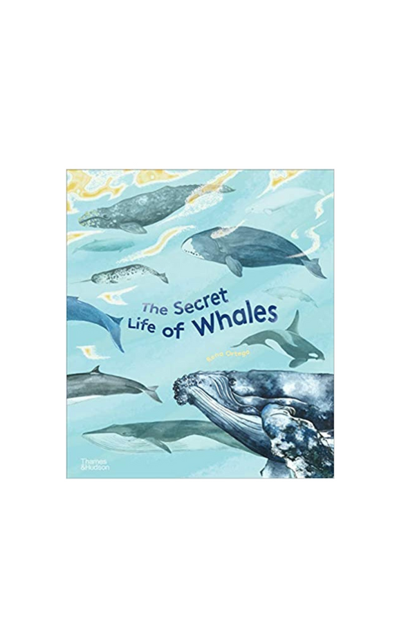 The Secret Life of Whales
