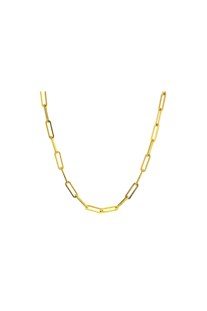 Gold Link Charm Chain