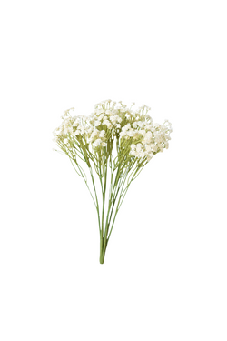 Baby's Breath 15"