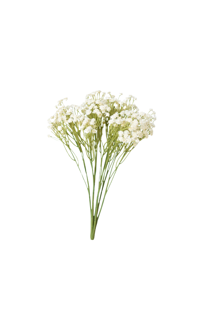 Baby's Breath 15"