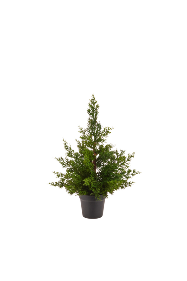 17" Potted Cedar