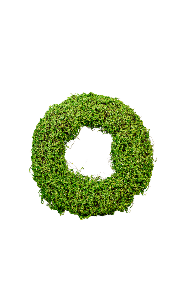 Leafy Green Vine Wreath