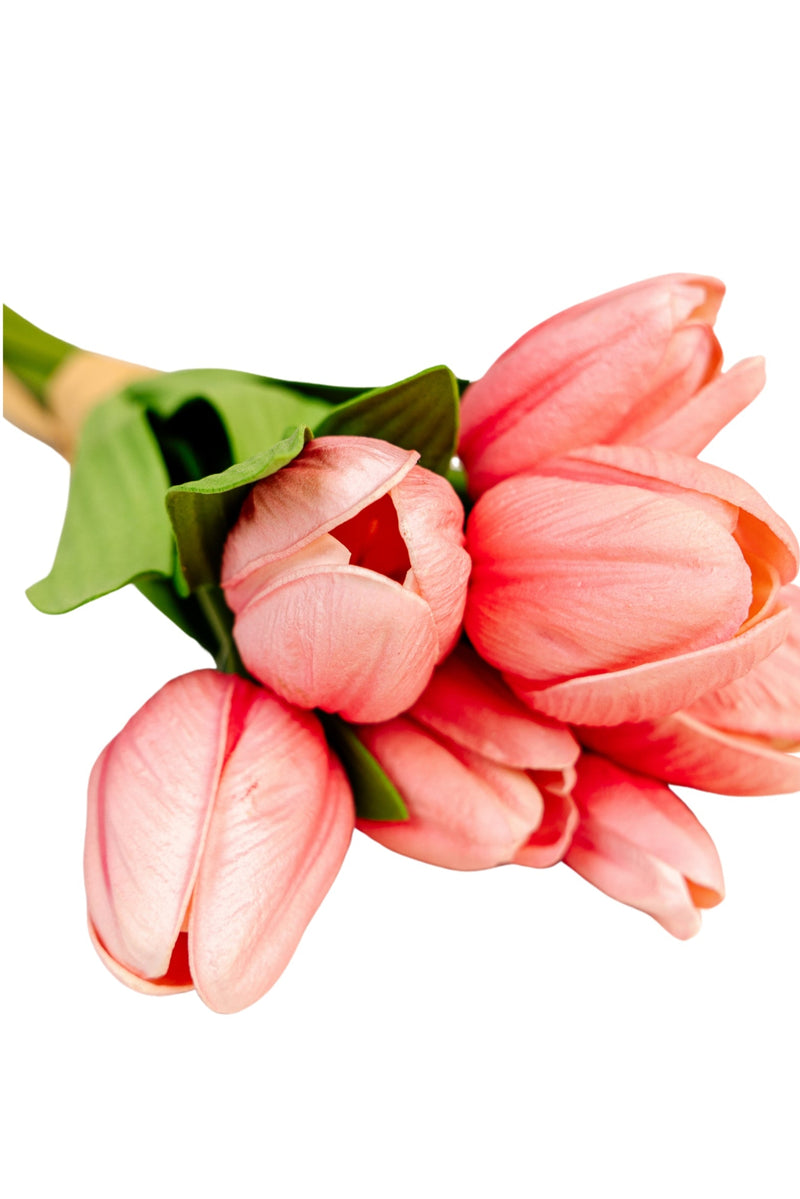 Pink Tulip Bundle