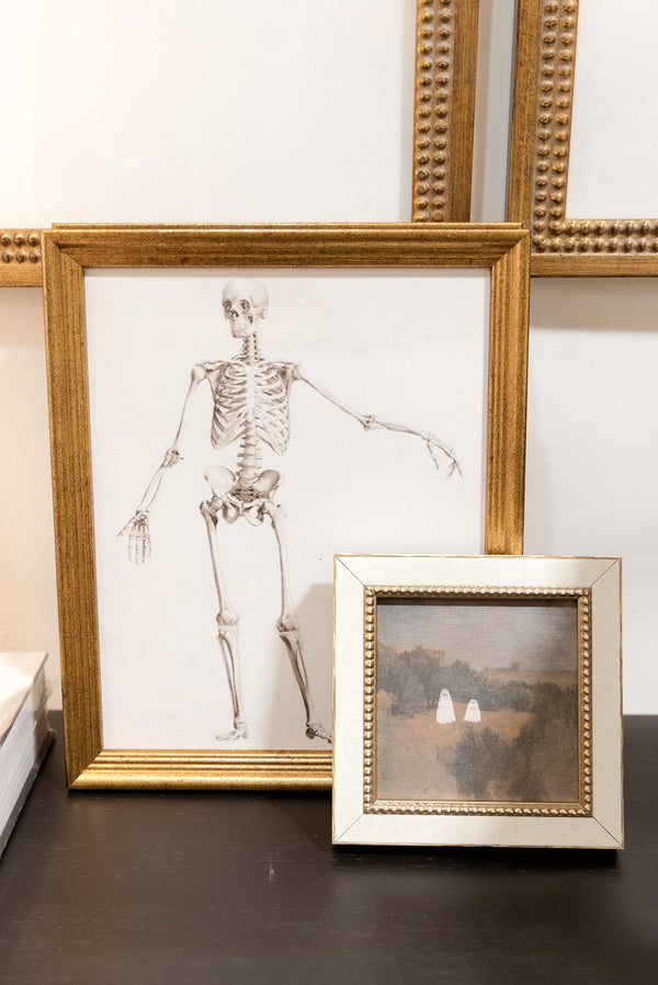 Skeleton Anatomy Art