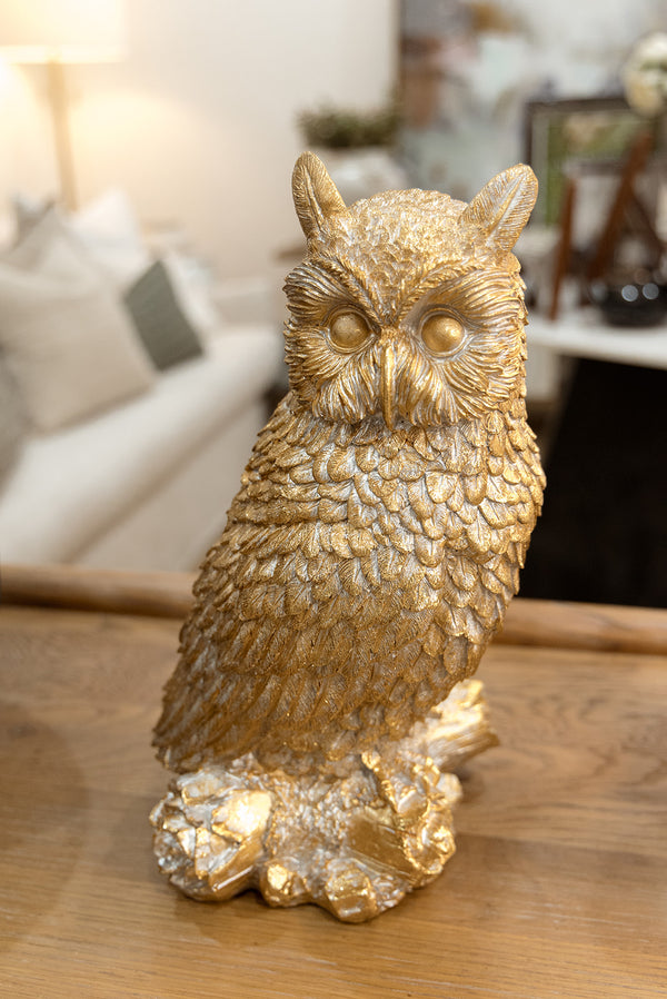 Enchanted Owl