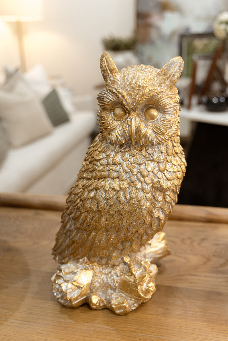 Enchanted Owl