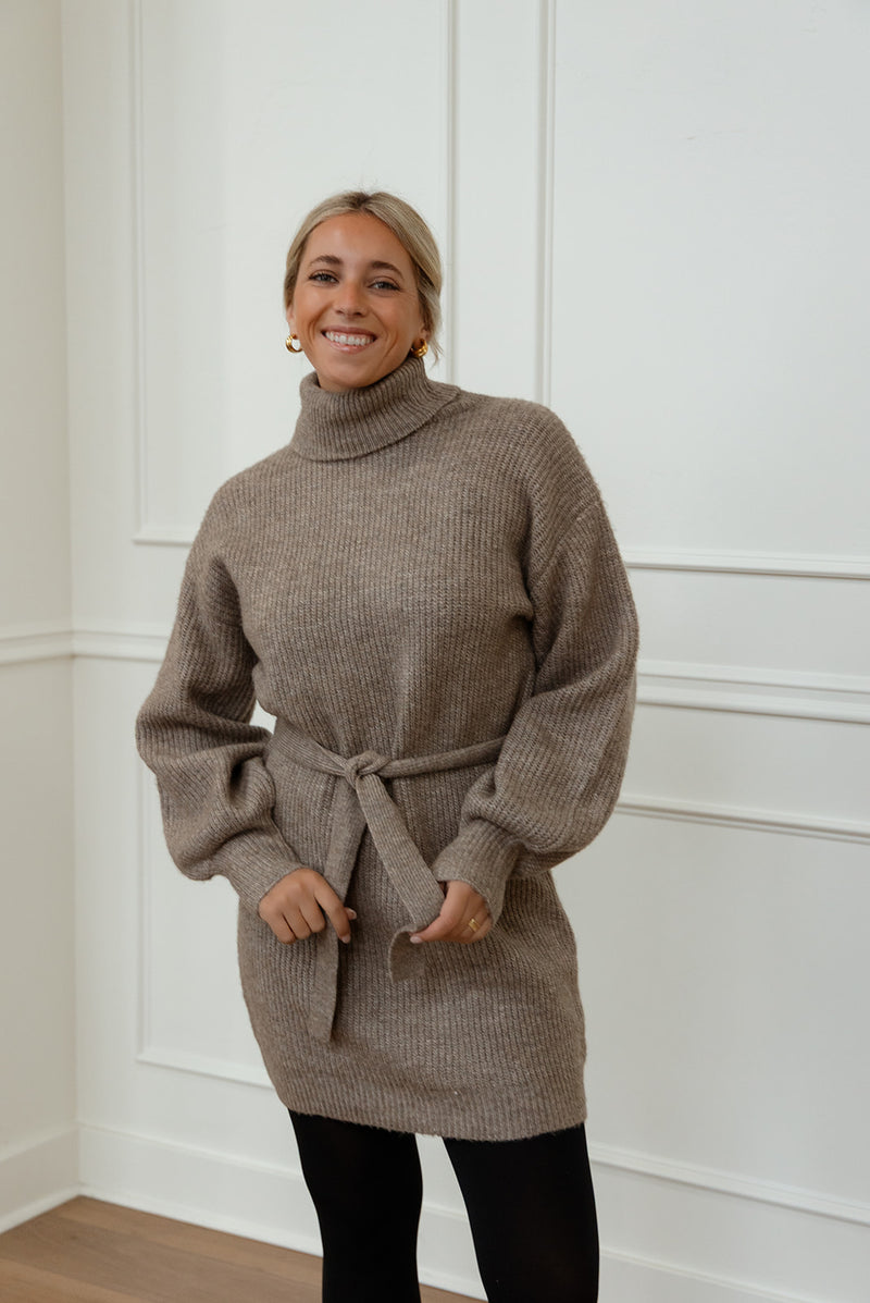 Audrina Turtleneck Sweater Dress
