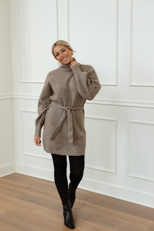 Audrina Turtleneck Sweater Dress