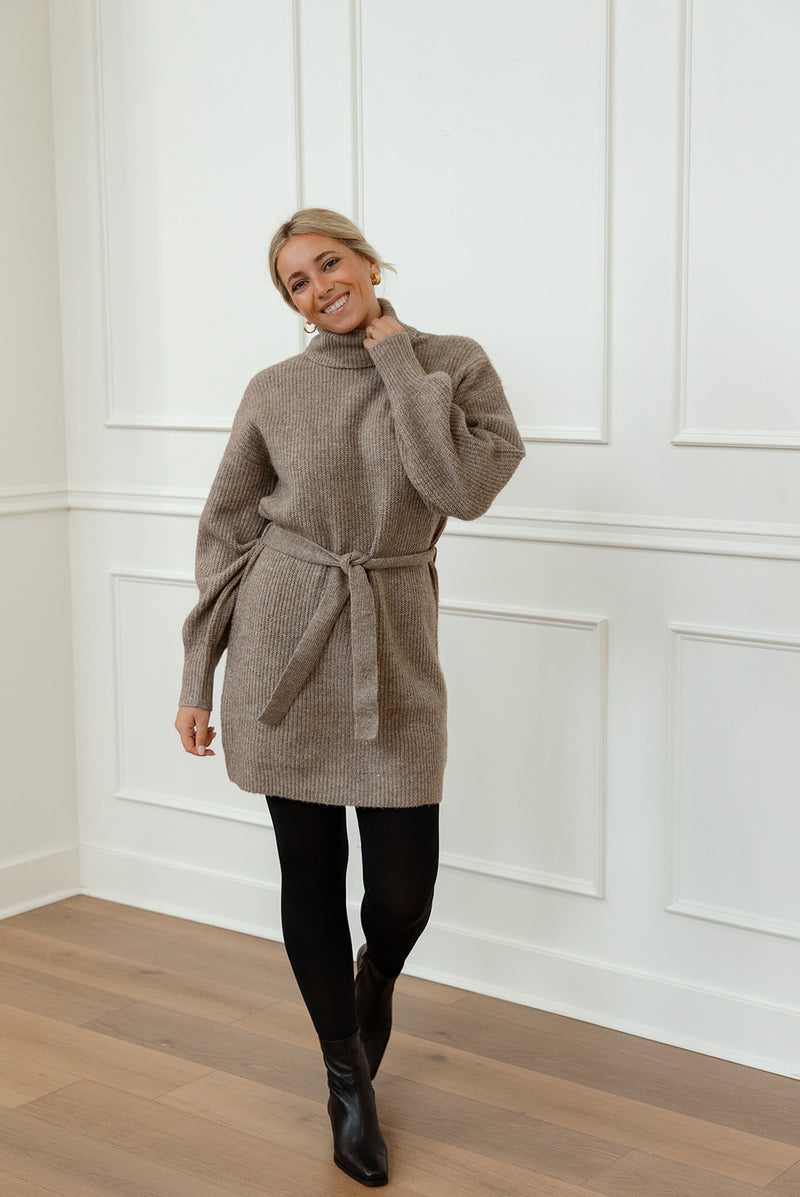 Audrina Turtleneck Sweater Dress
