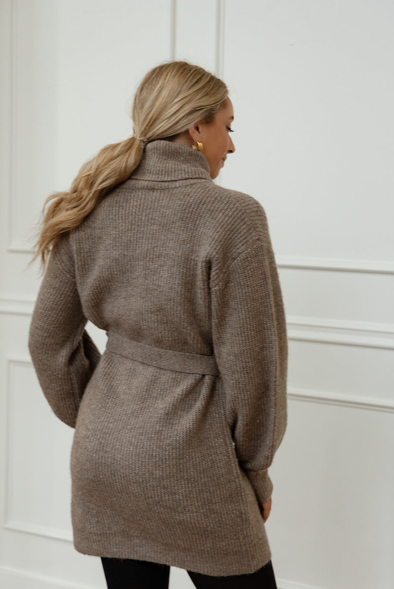 Audrina Turtleneck Sweater Dress