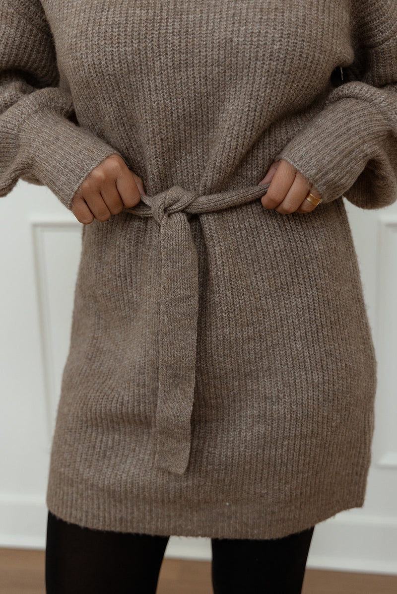 Audrina Turtleneck Sweater Dress