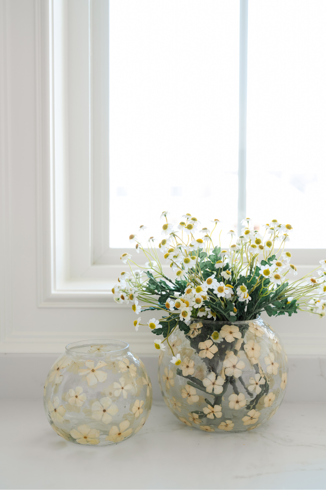 Mini White Daisy Bundle