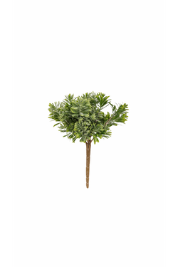 Succulent Grass-FINAL SALE