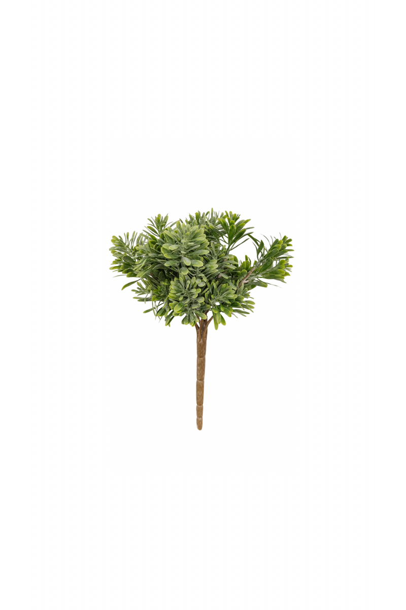 Succulent Grass-FINAL SALE