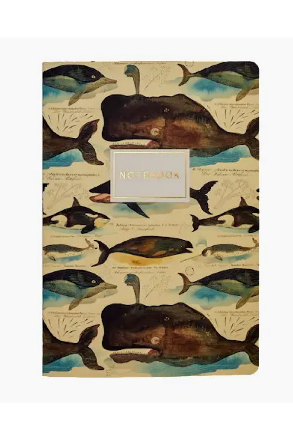 Bruno Visconti Paper Notebooks