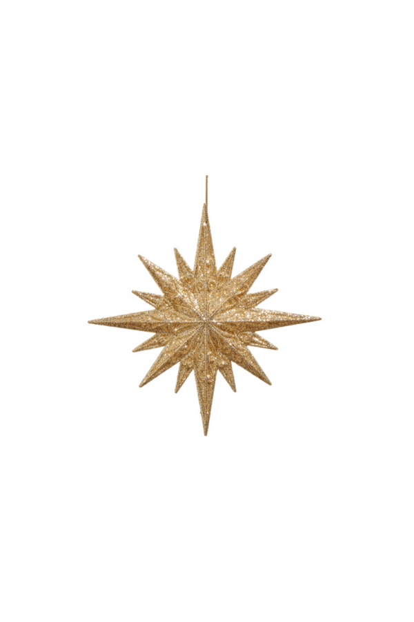 Star of Wonder Ornament