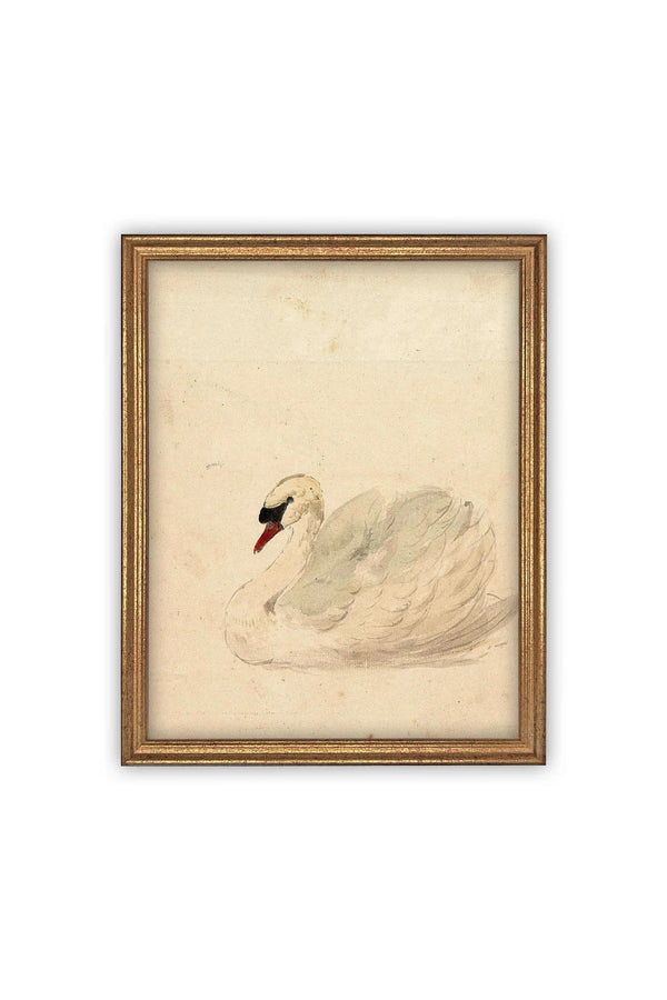 Vintage White Swan Art