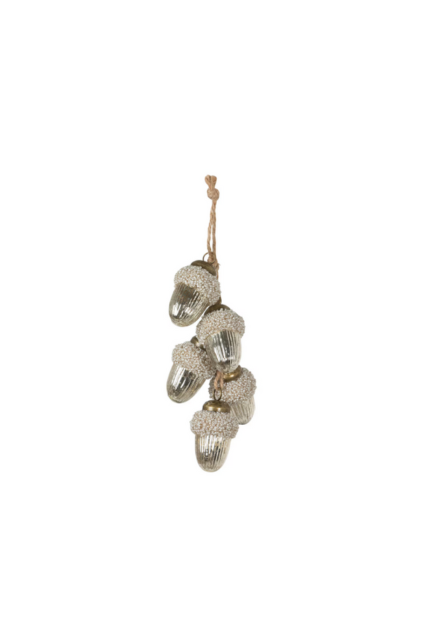 Aurora Acorn Bundle