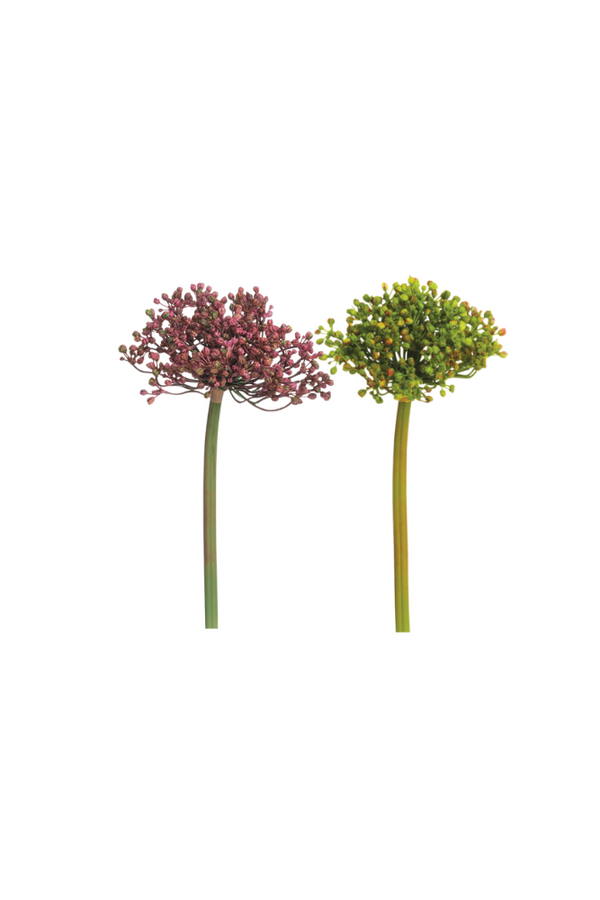 Allium Bud Spray 12"