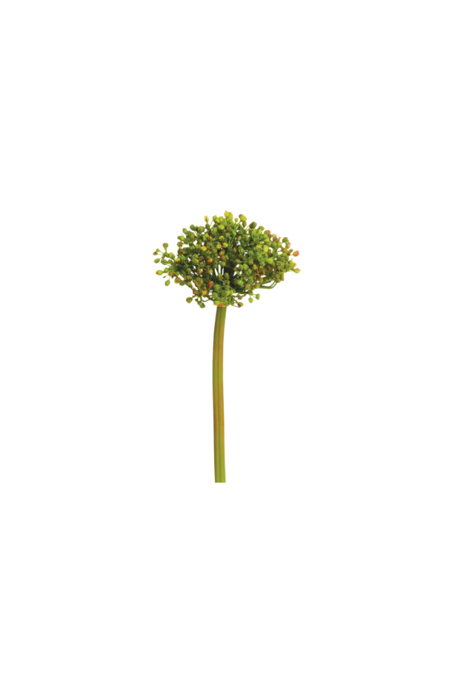 Allium Bud Spray 12"