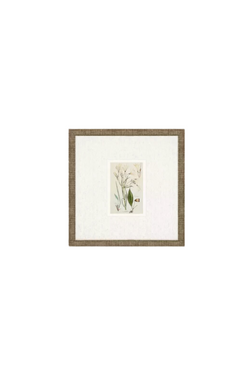 Antique Botanical Floral Art