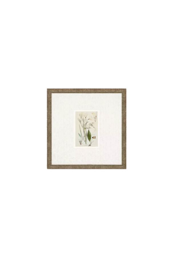 Antique Botanical Floral Art