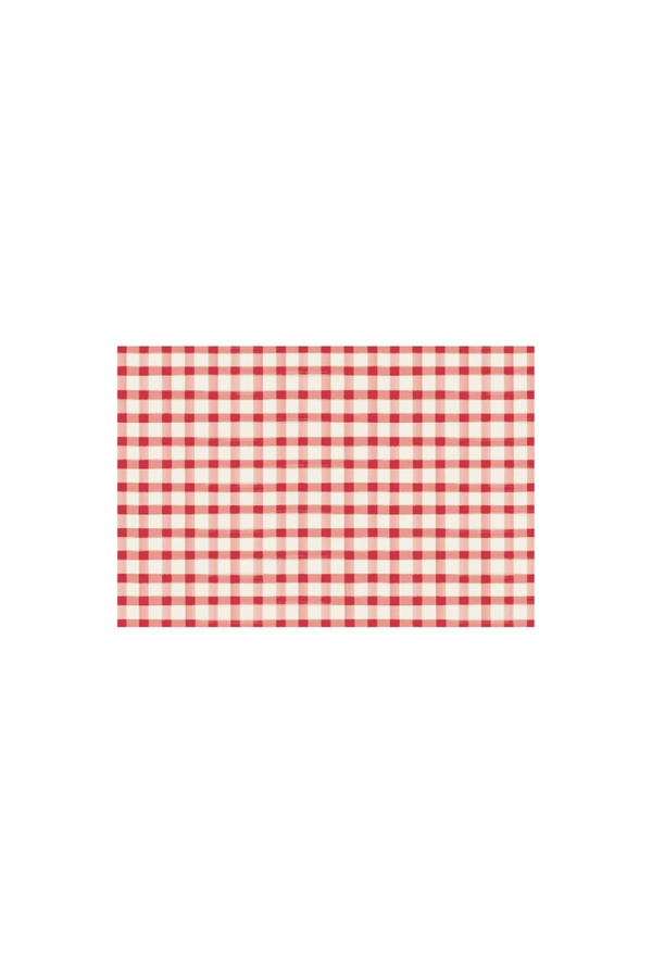 Red Painted Check Placemats