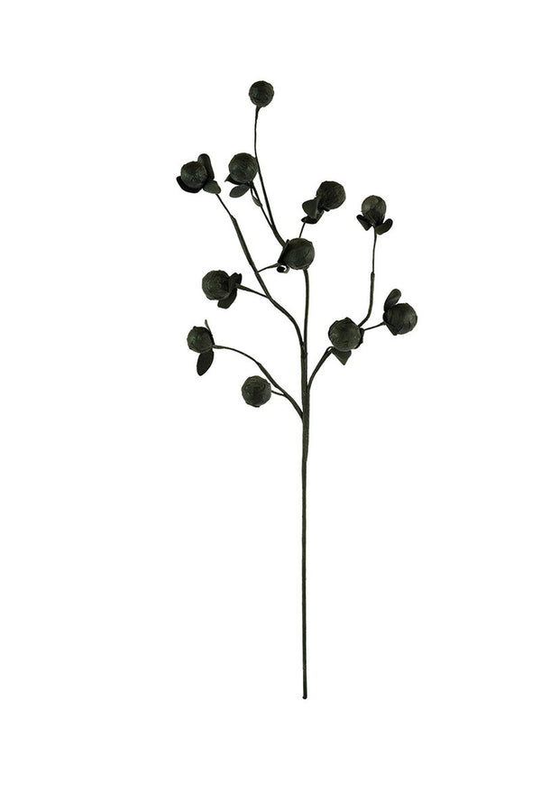 Black Botanica Stem