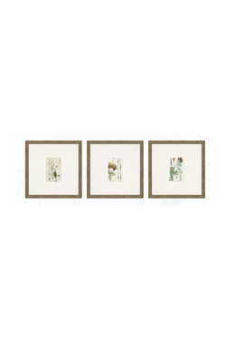 Antique Botanical Floral Art