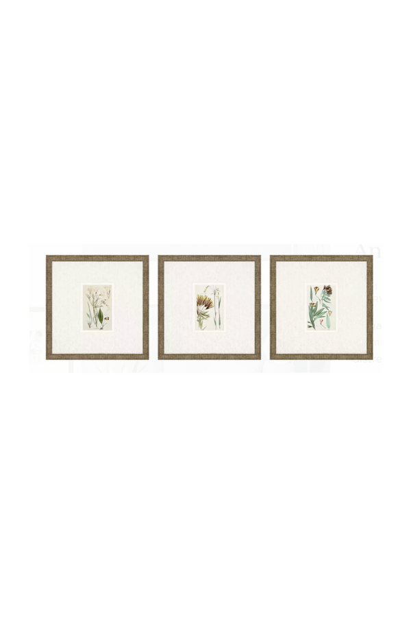 Antique Botanical Floral Art