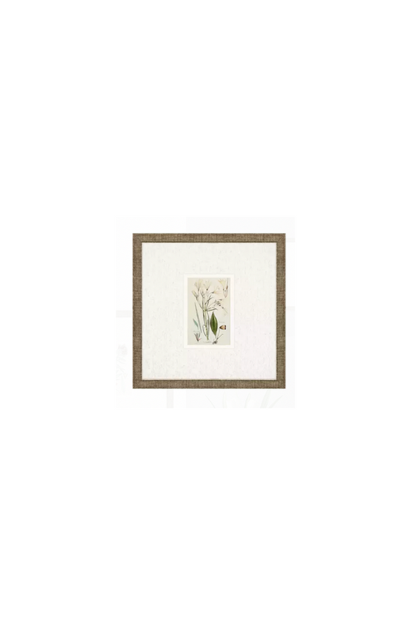 Antique Botanical Floral Art