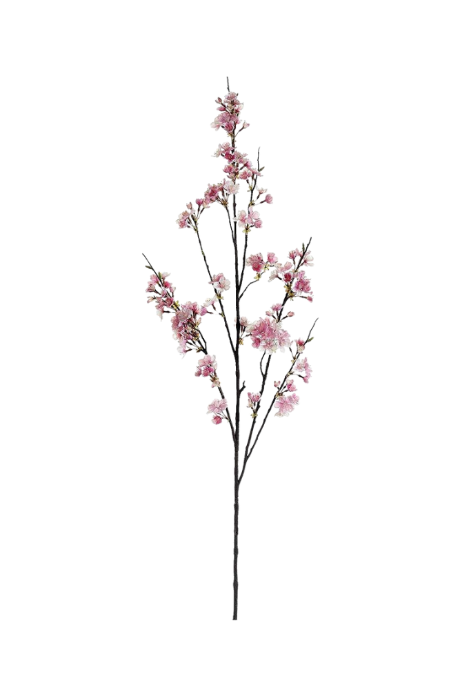 Cherry Blossom Long Stem 51"