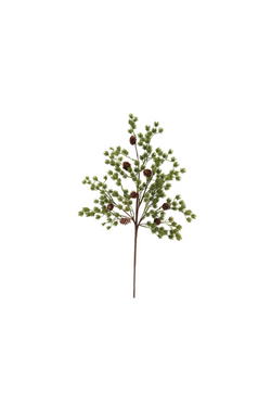 Frasier Fir Stem with Pinecones