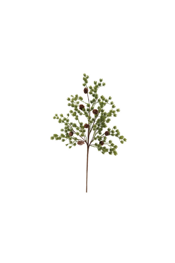 Frasier Fir Stem with Pinecones