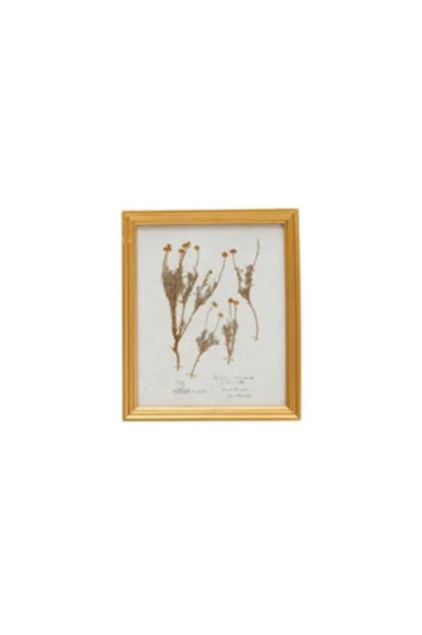 Gold Botanical Art