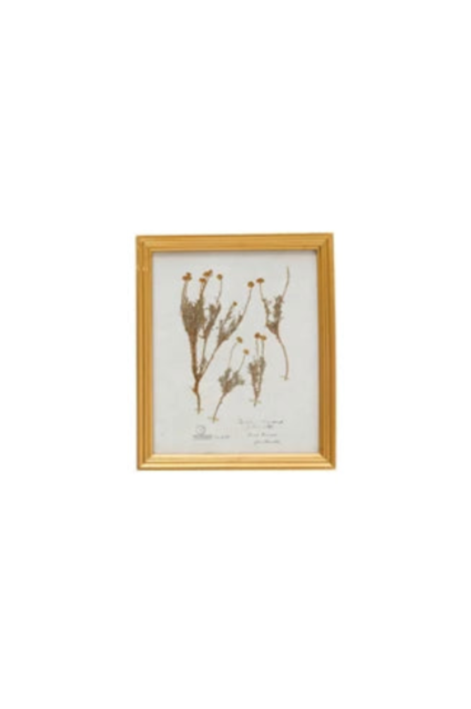 Gold Botanical Art