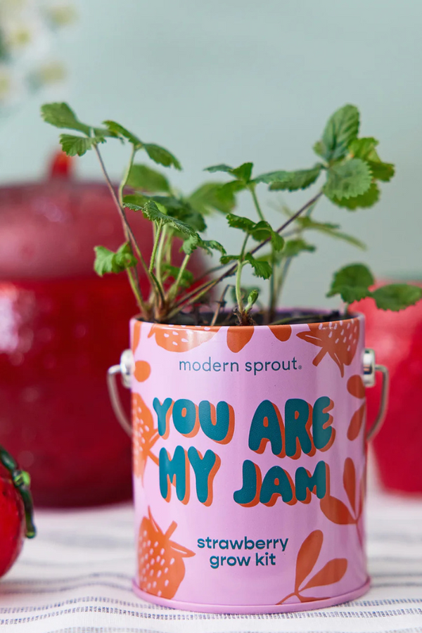 You Are My Jam Strawberry Grow Kit