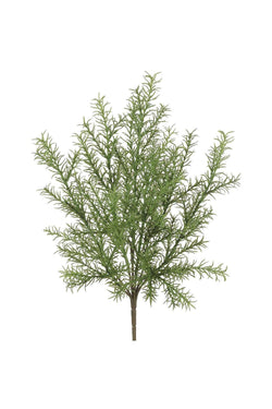 Myrtle Bush Greenery