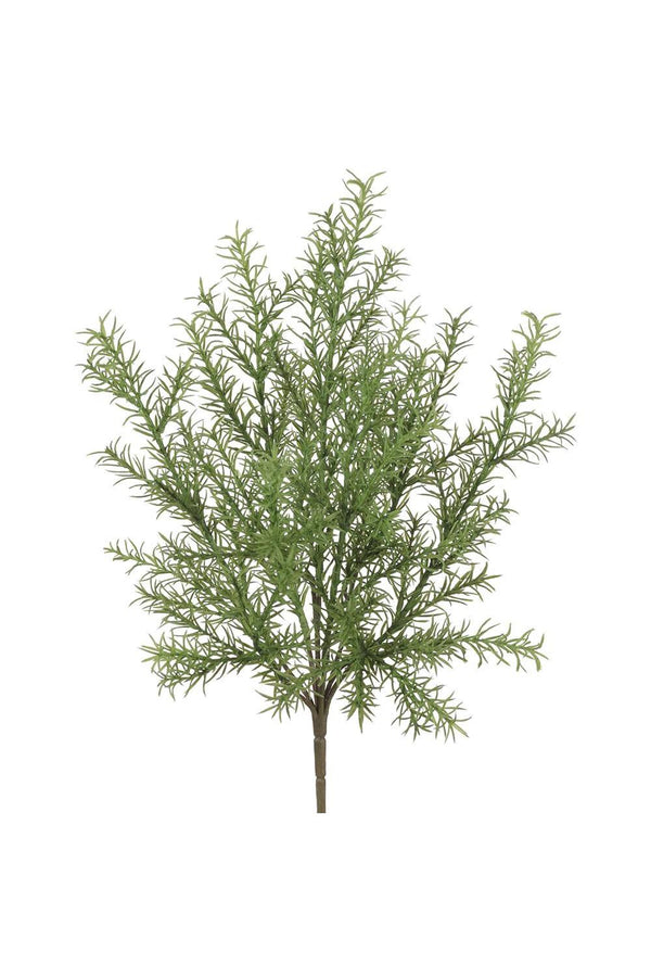 Myrtle Bush Greenery