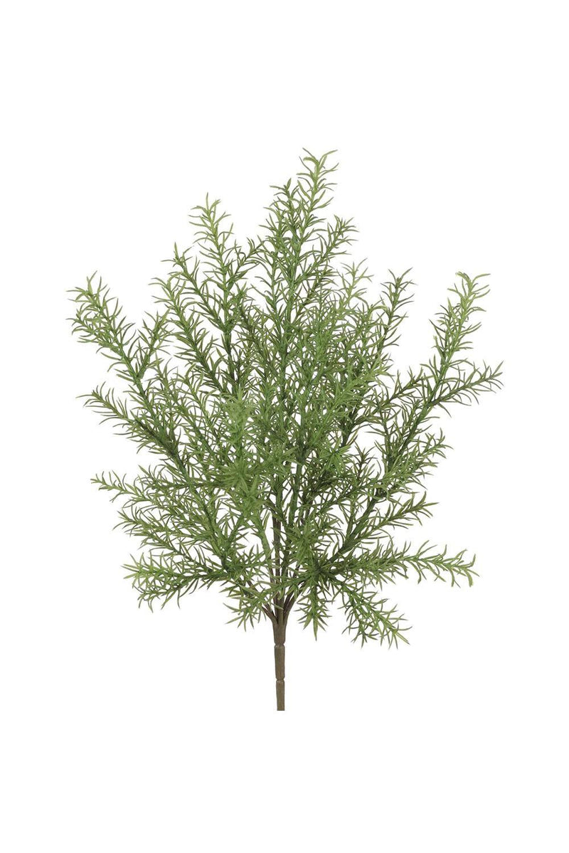 Myrtle Bush Greenery