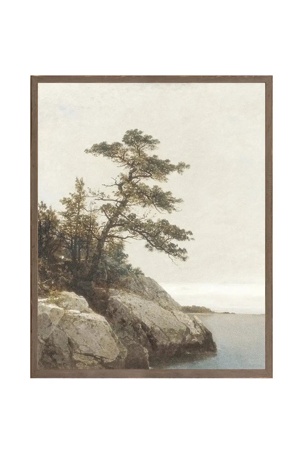 The Old Pine 1872