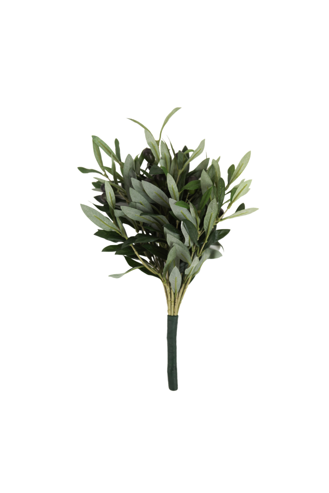 Olive Bush Single Stem