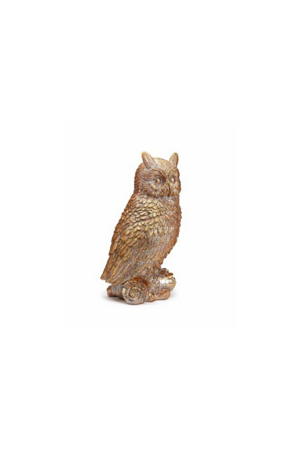 Enchanted Owl