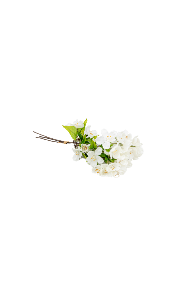 Pear Blossom Bundle