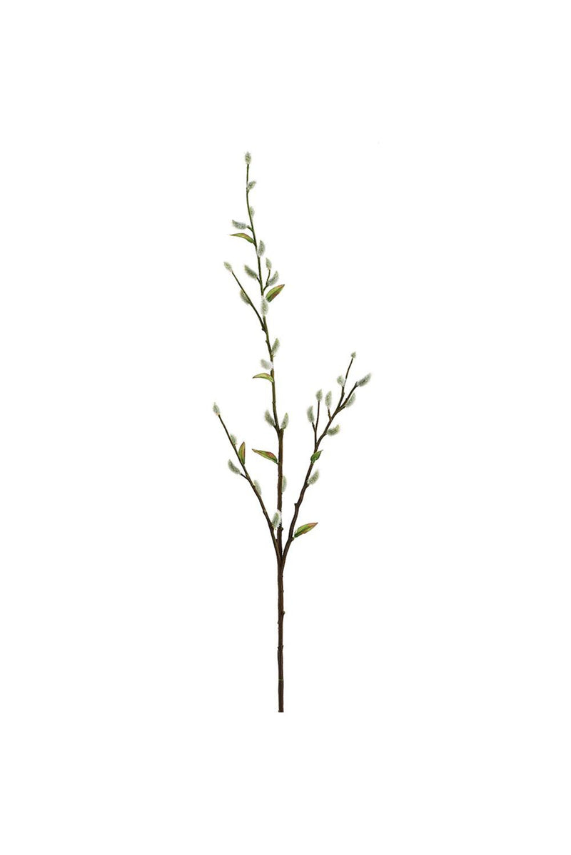 Pussy Willow Stem 36"