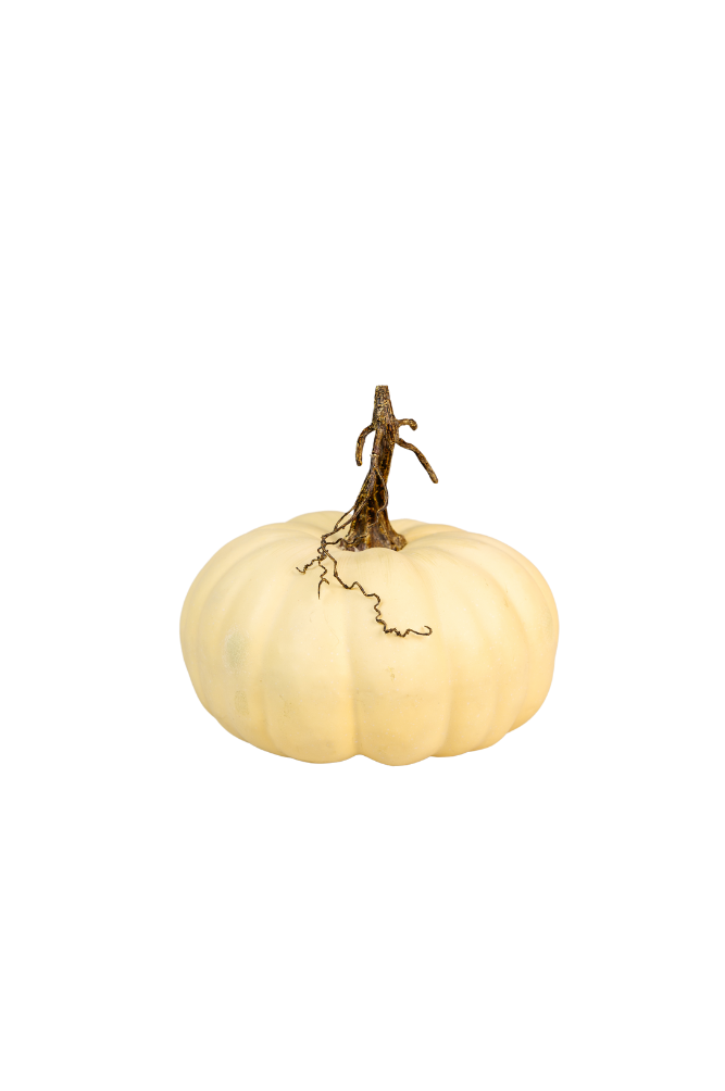 Full Moon Pumpkin Decor