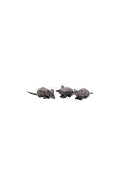 Cast Iron Mouse