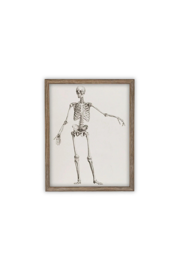 Vintage Skeleton Art