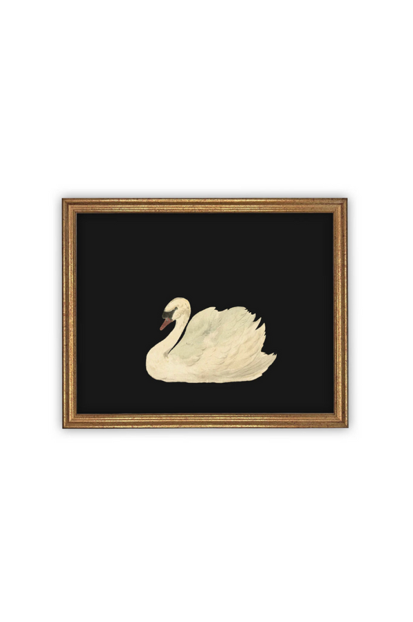 Vintage Black Swan Art