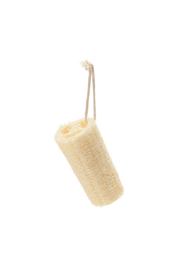 Loofah Brush